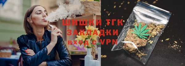 ГАЛЛЮЦИНОГЕННЫЕ ГРИБЫ Осинники