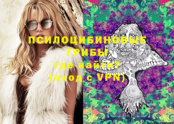 мдпв Нягань