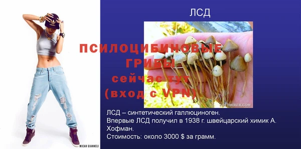 ГАЛЛЮЦИНОГЕННЫЕ ГРИБЫ Осинники