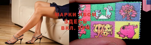 ГАЛЛЮЦИНОГЕННЫЕ ГРИБЫ Осинники