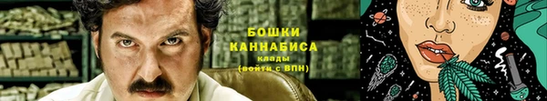 первитин Няндома