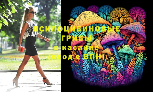 первитин Няндома
