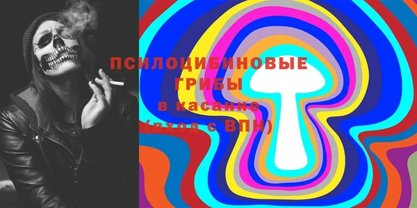 первитин Няндома